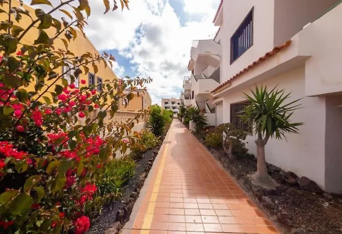 Bougainville Costa Del Silencio Lejlighed Arona (Tenerife)